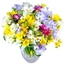 Picture of Freesia Fragrance