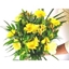 Picture of Mellow Yellow
