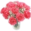 Picture of Pink Carnations
