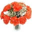 Picture of Orange Carnations