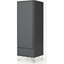 Picture of Elona Single Wardrobe, Charcoal & Brass
