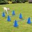 Picture of PawHut Dog Agility Equipment Play Run Jump Kit Indoor Outdoor Exercise Pet Puppy Training Sets w/ 3 Cross Bars & 6 Conical Barrels