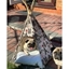 Picture of PawHut Portable Pet Teepee, 67Lx65Wx78H cm-Beige