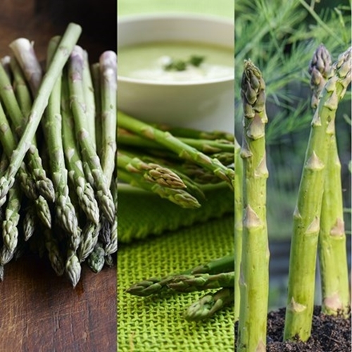 Asparagus - Grow once, & Enjoy it for 20 Years!
