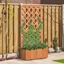 Picture of Outsunny Wooden Gardening Display
