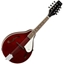 Picture of Tanglewood TWM-T-WR Union Series Teardrop Mandolin Wine Red