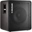 Picture of TC Electronic RS115 1 x 15&quot; Bass Speaker Cabinet