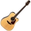 Picture of Takamine GD90CE Electro Acoustic Ziricote