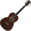 Picture of Ibanez AVNB1FE Fretless Electro Acoustic Brown Semi-Gloss