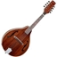 Picture of Tanglewood TWMT MH Union Mandolin Natural
