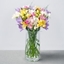 Picture of Fragrant Freesias