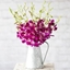 Picture of Oriental Orchids