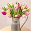 Picture of Spring Tulips