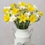 Picture of Daffodils &amp; Freesias