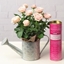 Picture of Afternoon Tea Gift Set