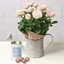 Picture of Happy Birthday Rose Gift