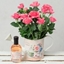 Picture of Pink Rose &amp; Gin Gift