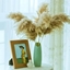 Picture of 6PCS Natural Dried Pampas Grass