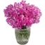 Picture of My Sweet Pea