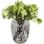 Picture of Hellebore Heaven