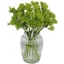 Picture of Velvet Green