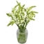 Picture of Snapdragon Sensation