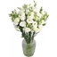 Picture of Lovely Lisi