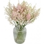 Picture of Astounding Astilbe