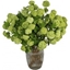 Picture of Verdant Viburnum
