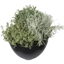 Picture of Luscious Green Mix