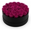 Picture of Infinite Soho 'Hot Pink'