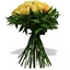 Picture of Renaissance Rose