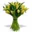 Picture of Mellow Yellow