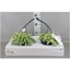 Picture of Donkey Tail