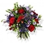 Picture of Wild Rose