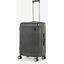 Picture of Galli Medium Suitcase, Charcoal & Brushed Brass