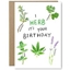 Picture of Rose & Daff - I Herb It's Your Birthday