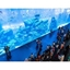Picture of Dubai Aquarium