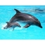 Picture of Marineland and Katmandu