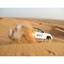Picture of Sunset Dinner Safari Dubai