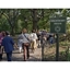Picture of Central Park Walking Tour