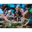 Picture of Sea Life Orlando at I-Drive 360