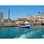 Picture of Las Golondrinas - Barcelona Boat Cruise