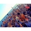 Picture of The Magaluf Party Hard Package