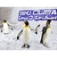 Picture of Penguin Encounter at Ski Dubai