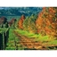 Picture of Lake Garda Wine and Grapa tour