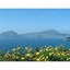 Picture of Full Day Ishia and Mortella Gardens - from Sorrento