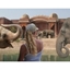 Picture of Terra Natura Benidorm