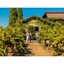 Picture of Wine Country Half Day Tour - From San Francisco