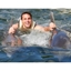 Picture of Swim With Dolphins Miami